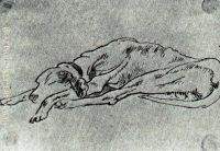 Perro II 