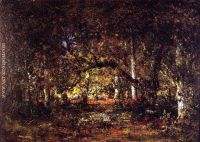 Forest Interior