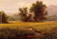 The Meadow