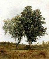 A Study of Trees