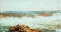 Seashore