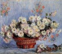 Chrysanthemums 1