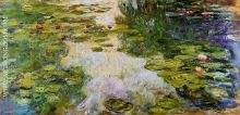 Water Lilies 42