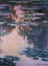 Water Lilies 12