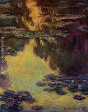 Water Lilies 16