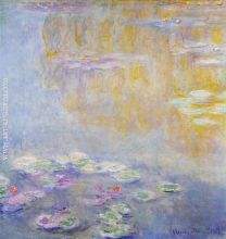 Water Lilies 26