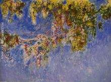 Wisteria 1