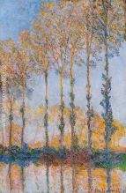 Poplars White and Yellow Effect