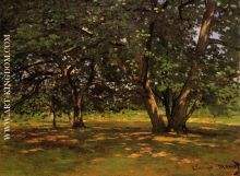 Fontainebleau Forest