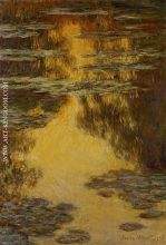 Water Lilies 11
