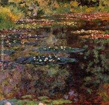 Water Lilies 21