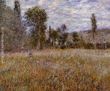 A Meadow