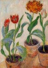 Three Pots of Tulips