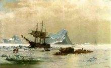 the Ice Floes