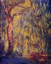 Weeping Willow 1