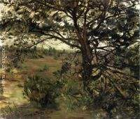 Luneberger Heide