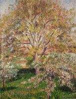 Walnut and Apple Trees in Bloom Eragny