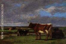 Cows near the Toques