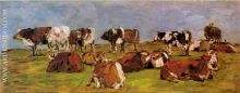 Cows in a Field