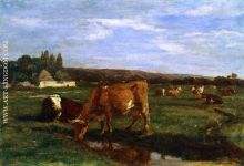 Pasture in the Touques Valley