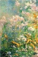 Meadow Flowers Golden Rod and Wild Asters