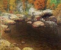 Rocky Pool