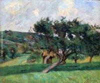 Damiette Landscape