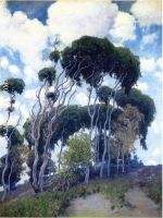 Laguna Eucalyptus
