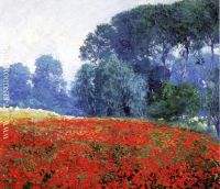 Poppy Field