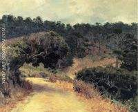 Monterey Forest