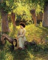 Warm Afternoon