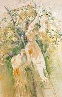 The Cherry Tree study 