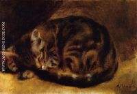 Sleeping Cat