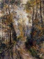 The Path through the Forest