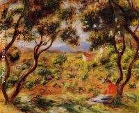 The Vineyards of Cagnes