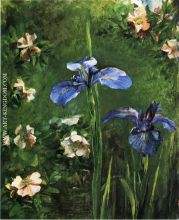 Wild Roses and Irises
