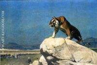 Tiger on the Lookout