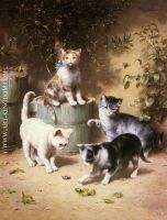 Kittens-Playing-with-Beetles