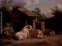 Pigs-In-A-Farmyard