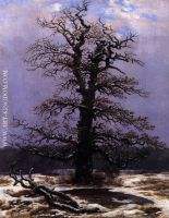 Oak-in-the-Snow