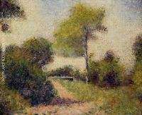 The Hedge