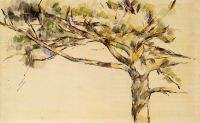 Large PIne study 