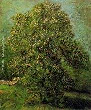 Chestnut Tree in Bloom