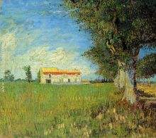 Farmhouses in a Wheat Field