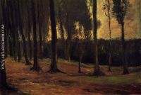 Edge of a Wood