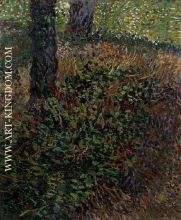 Undergrowth
