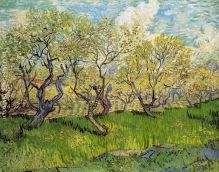 Orchard in Blossom 4