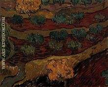 Olive Trees against a Slope of a Hill