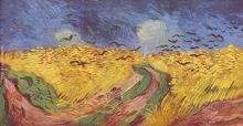 Birds on the fields