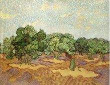 Olive Grove Pale Blue Sky